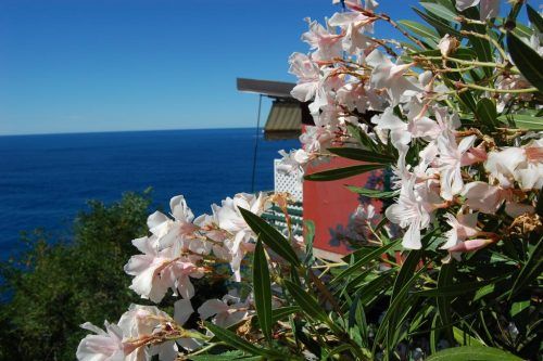 la francesca resort