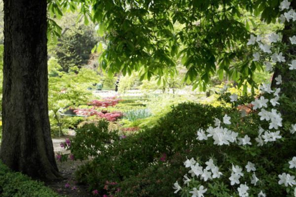 jardin botanico