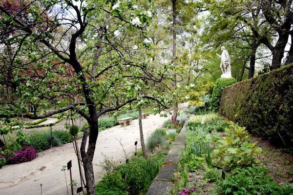 jardin botanico