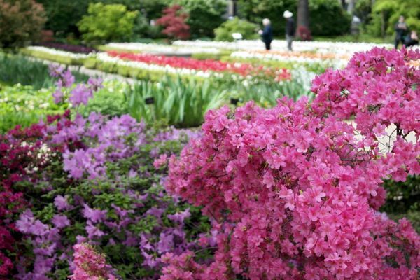 jardin botanico