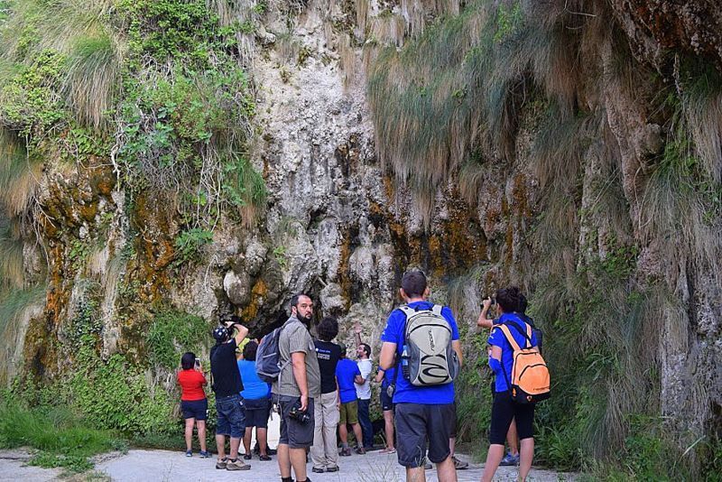 acueducto del toril