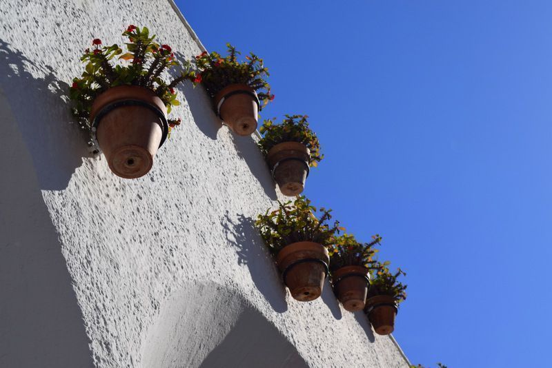 axarquia