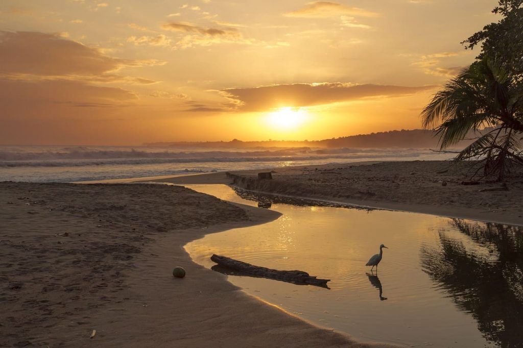 Qué hacer en Costa Rica (4)