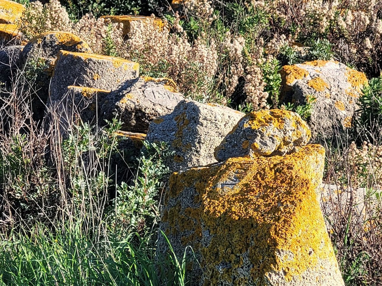 El yacimiento arqueológico de Baelo Claudia (7) El yacimiento arqueológico de Baelo Claudia (7)