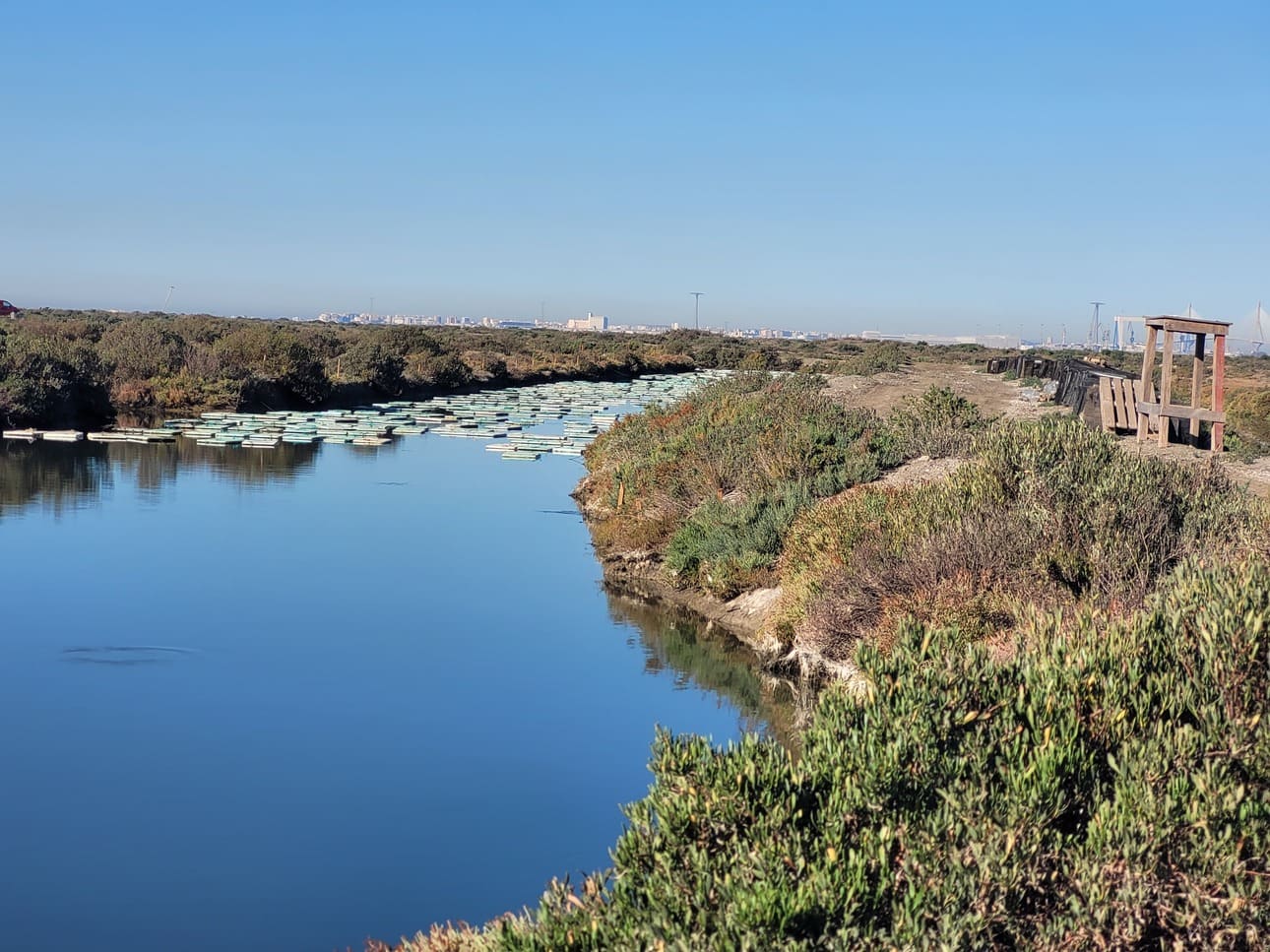 Ruta por la provincia de Cádiz en coche eléctrico (2)