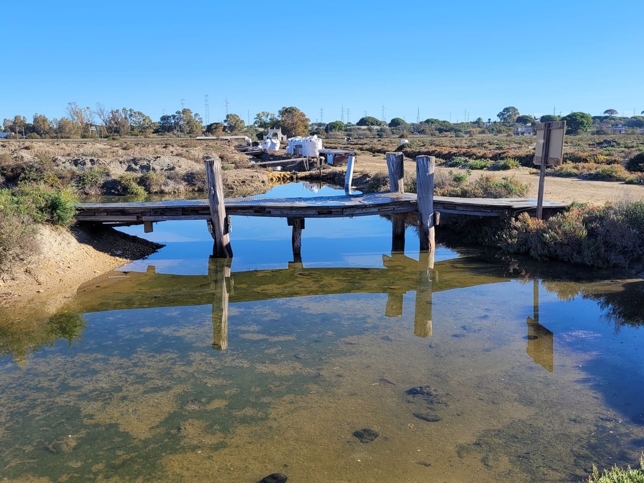 Salinas la Esperanza en Puerto Real