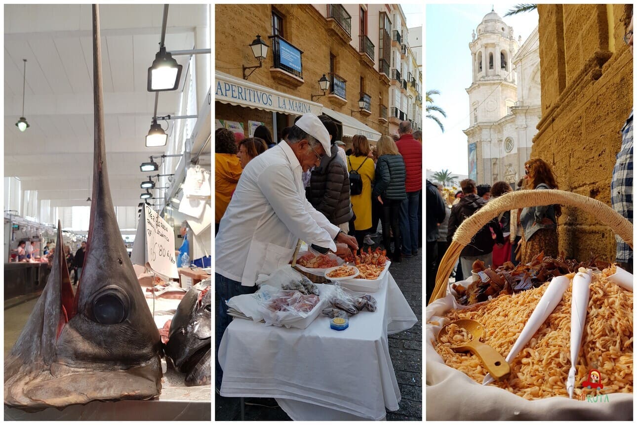 Lugares imprescindibles que visitar en Cádiz (3)