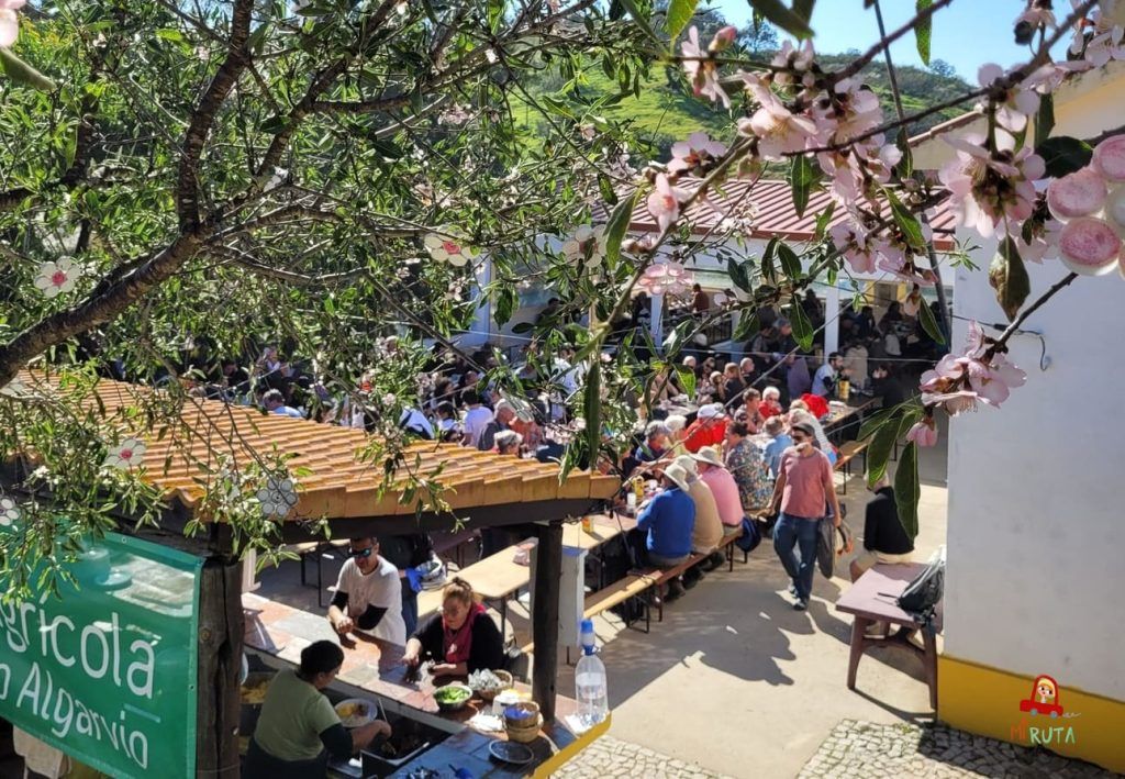 Fiesta del almendro en flor de Alta mora_2