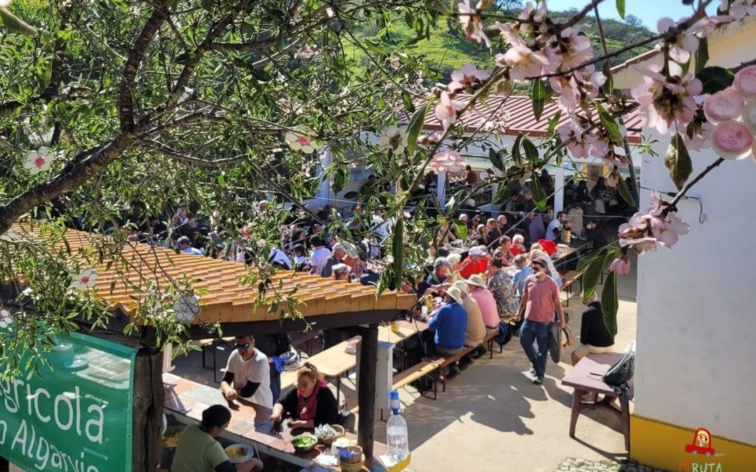 Fiesta del almendro en flor de Alta mora_2