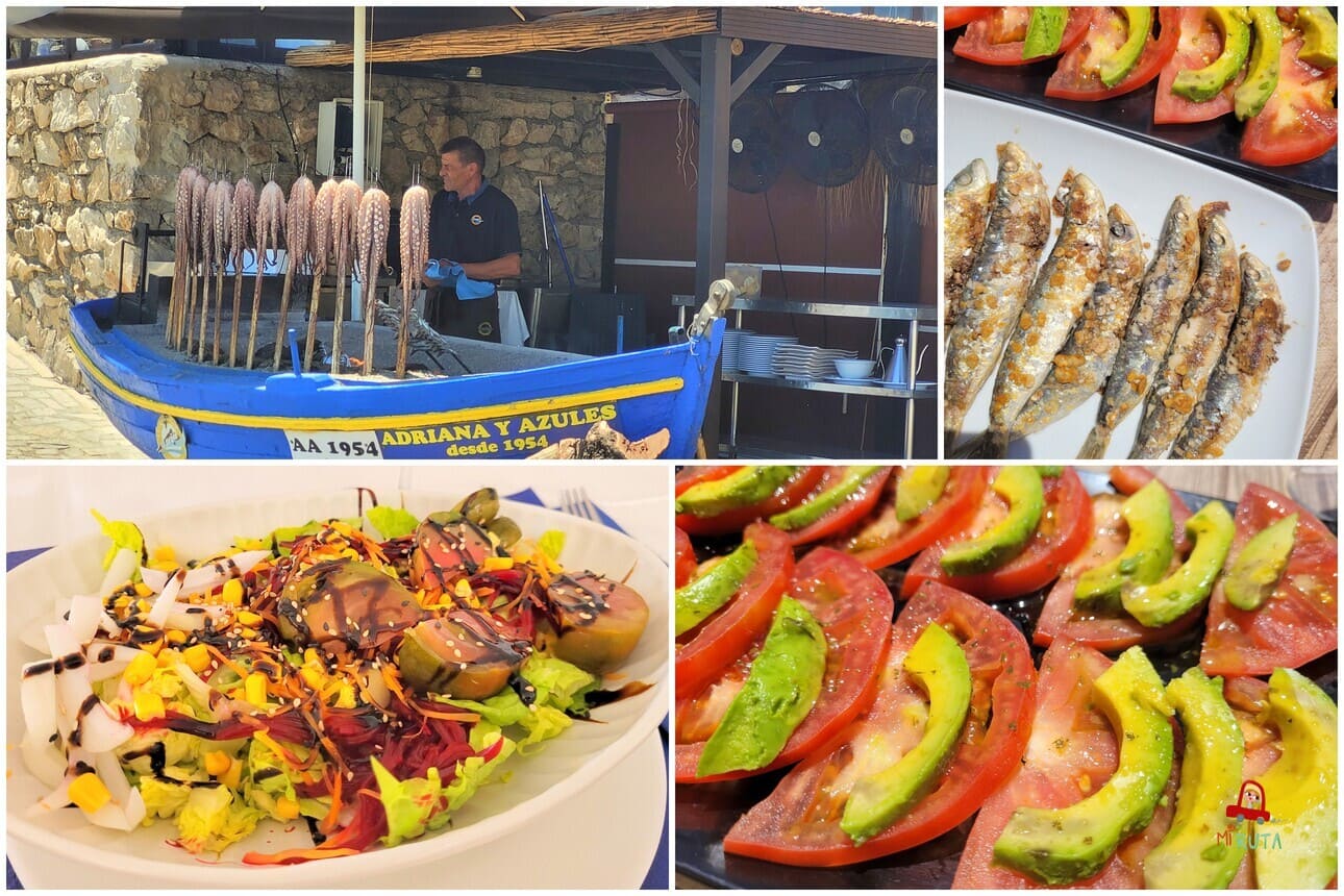 Gastronomía de la Costa Tropical