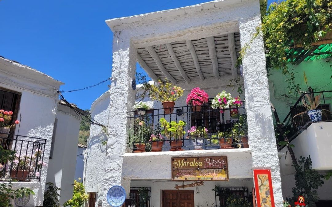 Las alpujarras granadinas en coche eléctrico