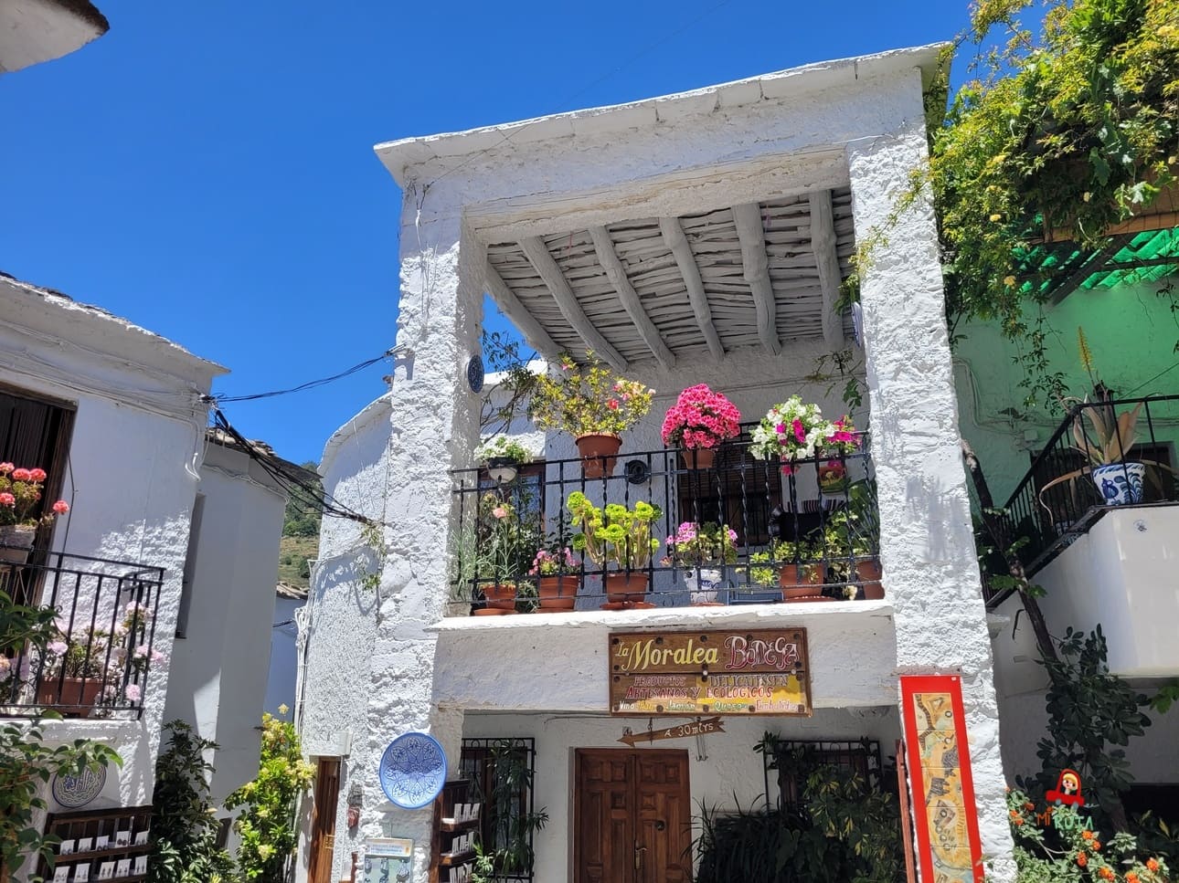 Granada en coche eléctrico Pampaneira_Alpujarras