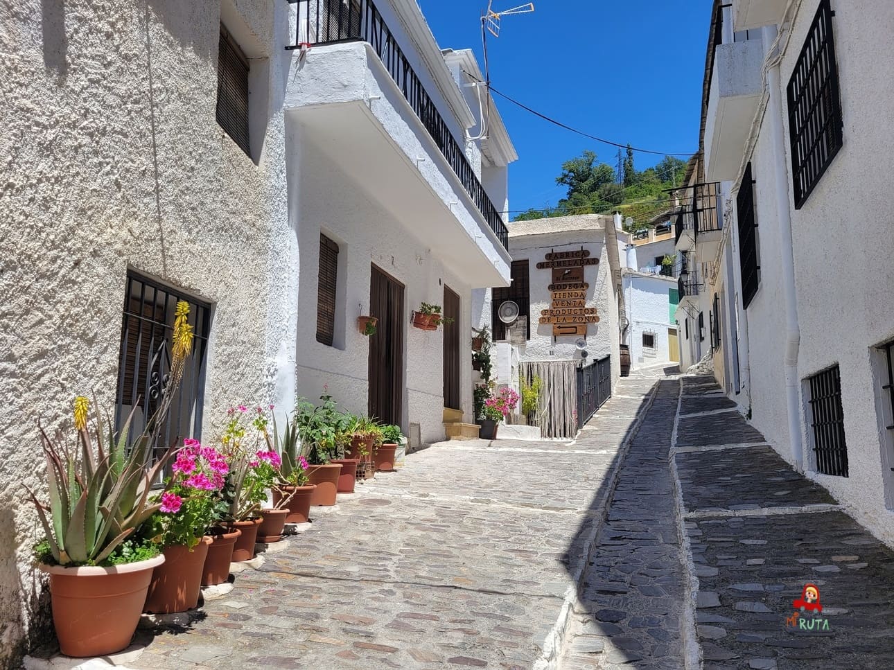 Pampaneria_Las Alpujarras