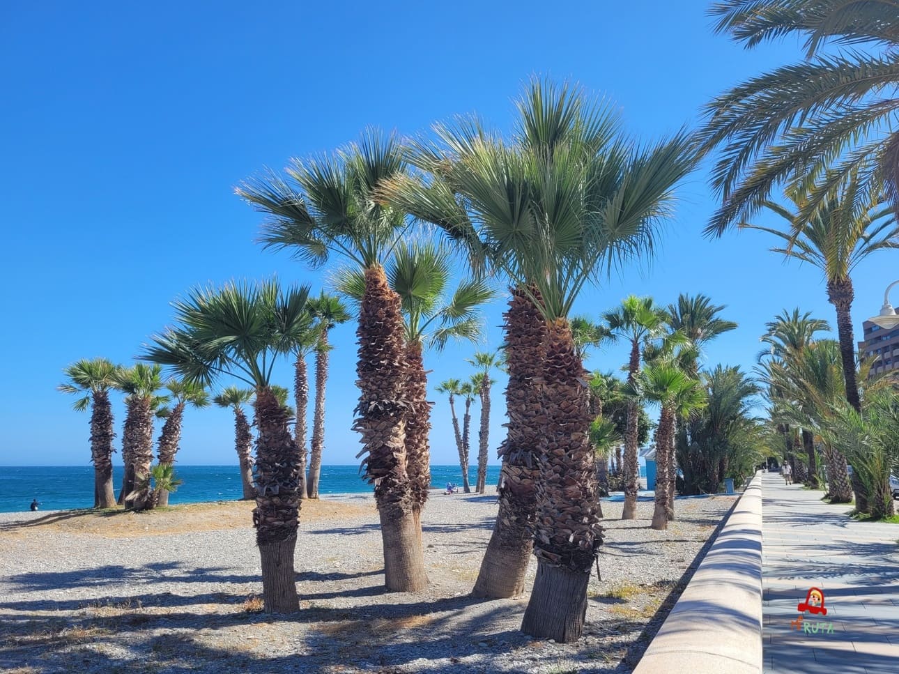 Paseo marítimo de Almuñécar_Granada