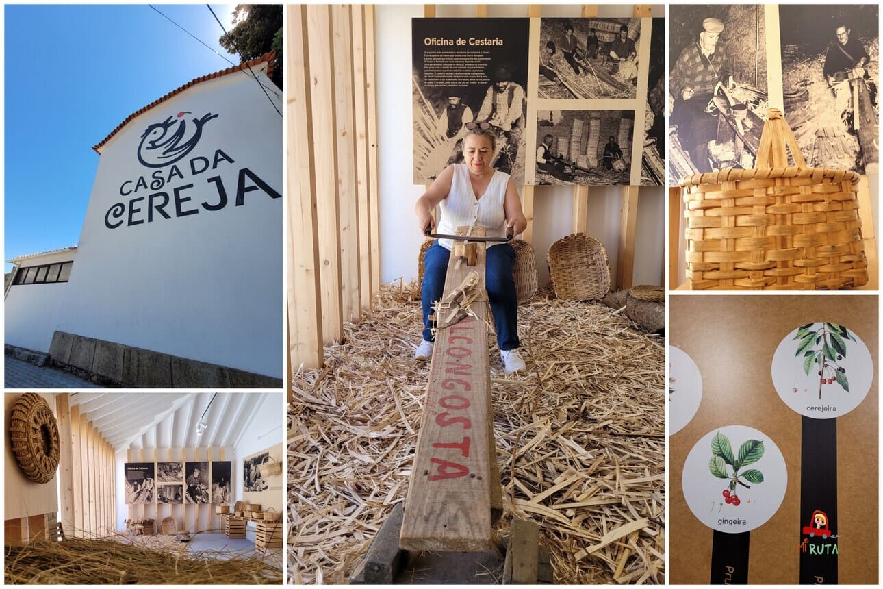 Fundão la ruta de las cerezas en el Centro de Portugal (3)
