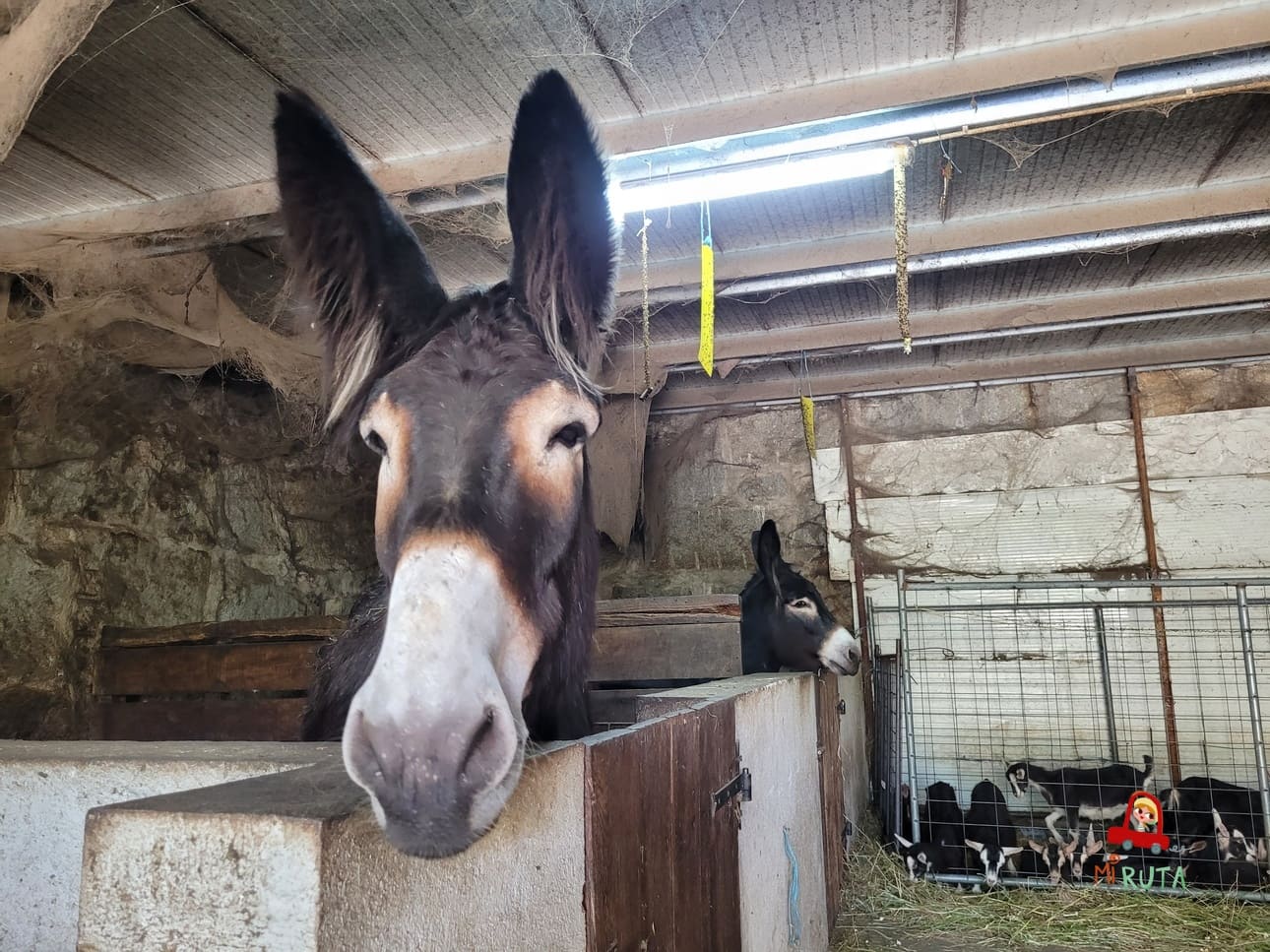 Granja del TerraSense – Retreat & Farm (1)
