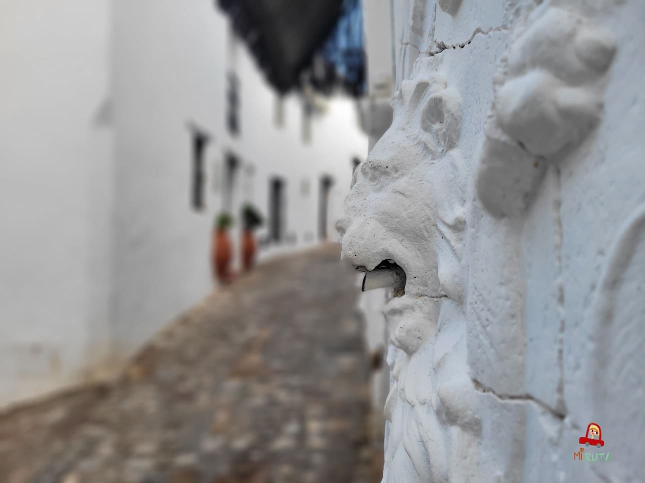 Castellar de la Frontera_Parque de los Alcornocales
