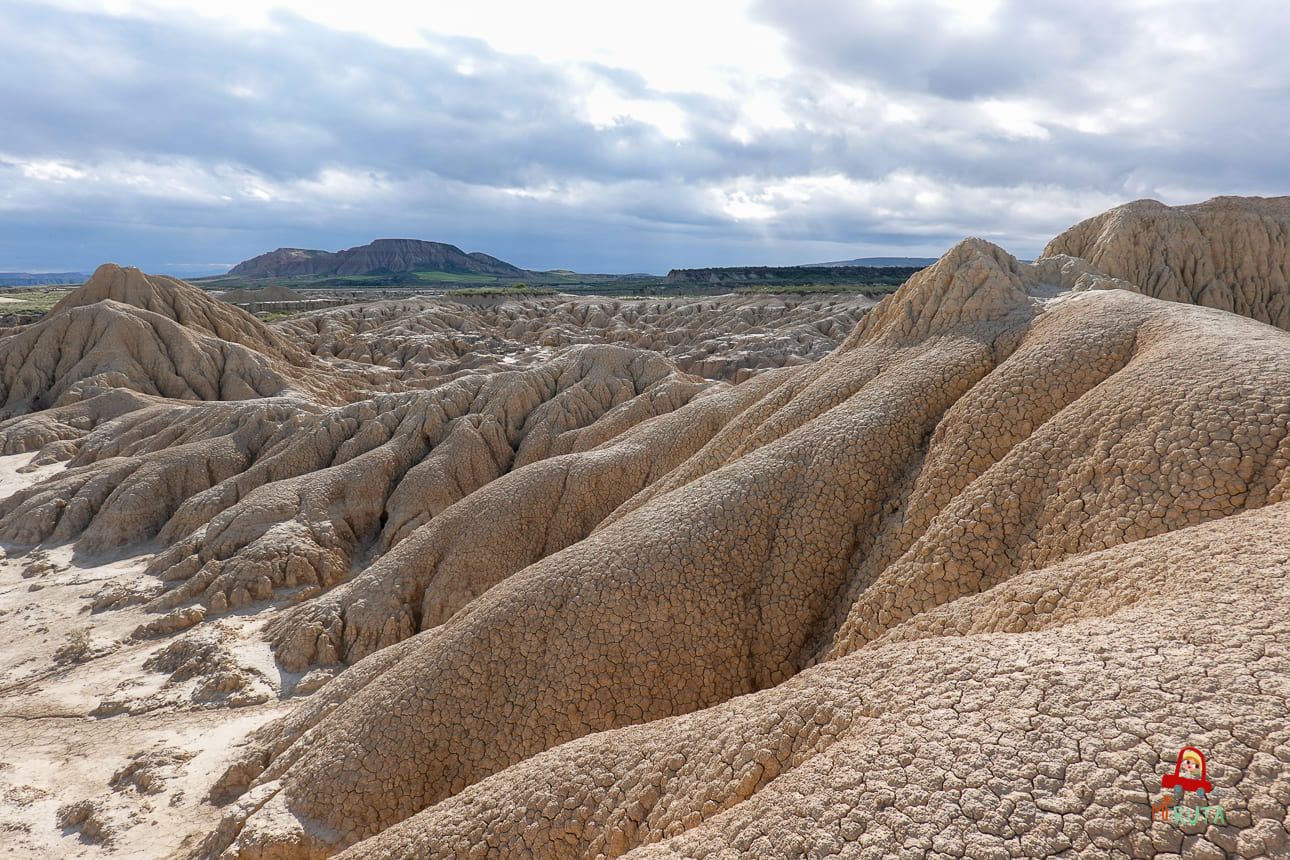 Visitar las Bardenas Reales_8 Visitar las Bardenas Reales_8