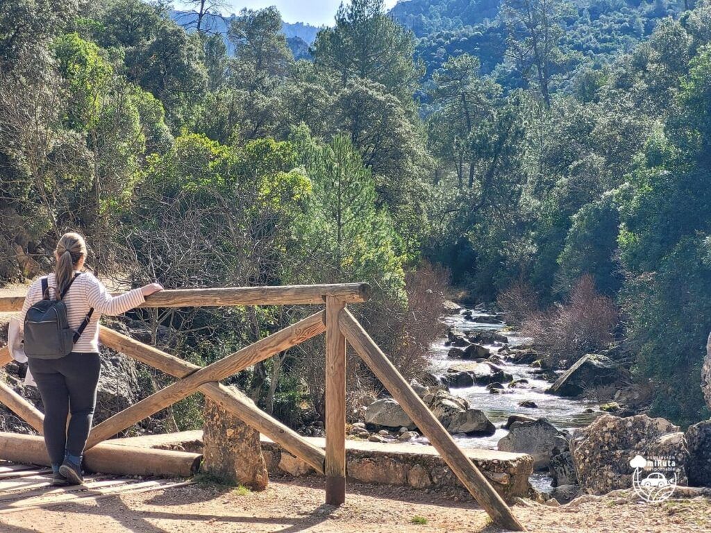 Sendero del río Borosa_Sierra de cazorla, Segura y las Villas (1)