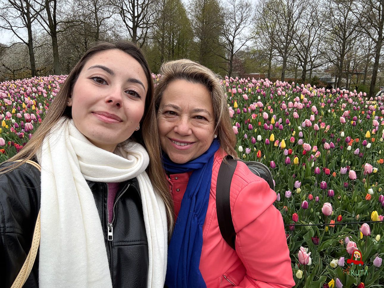 Keukenhof tulipanes (3) Keukenhof tulipanes (3)