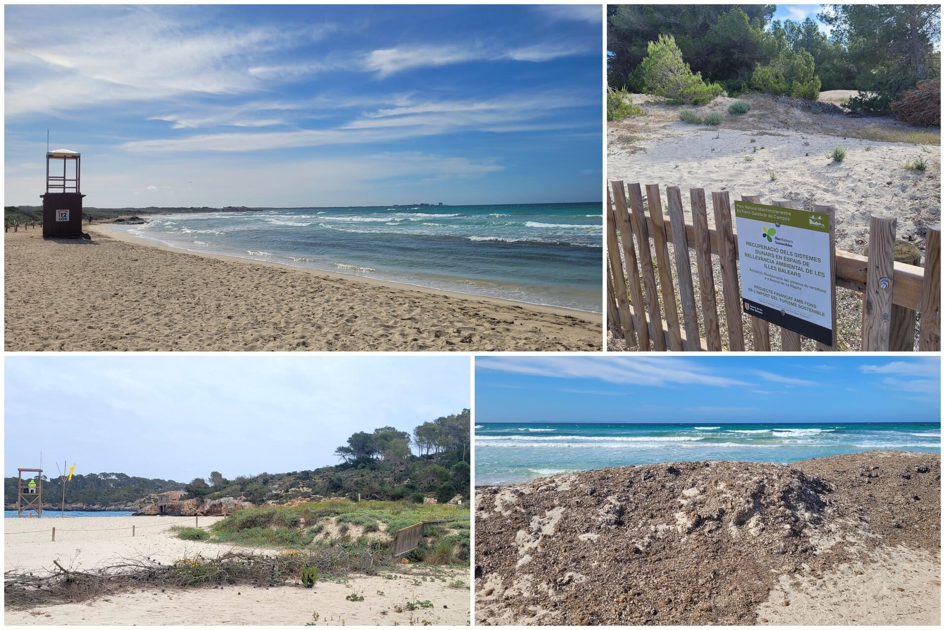 Mallorca sostenible (2)