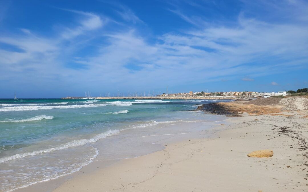 Mallorca sostenible (3)