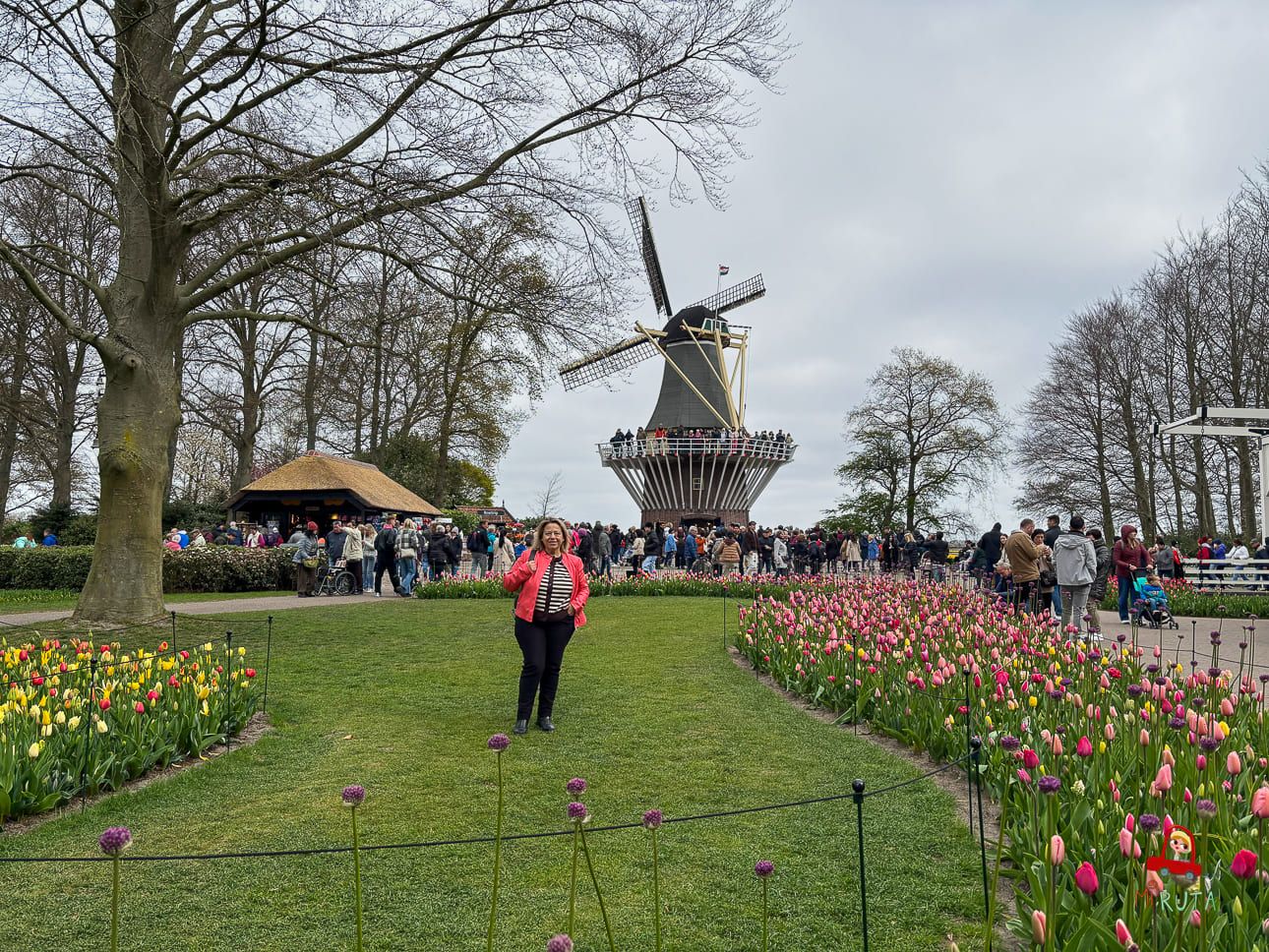 Keukenhof tulipanes (1)