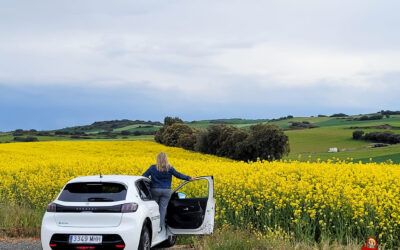 Cómo planificar tu viaje en coche eléctrico: cargadores, paradas y alojamientos