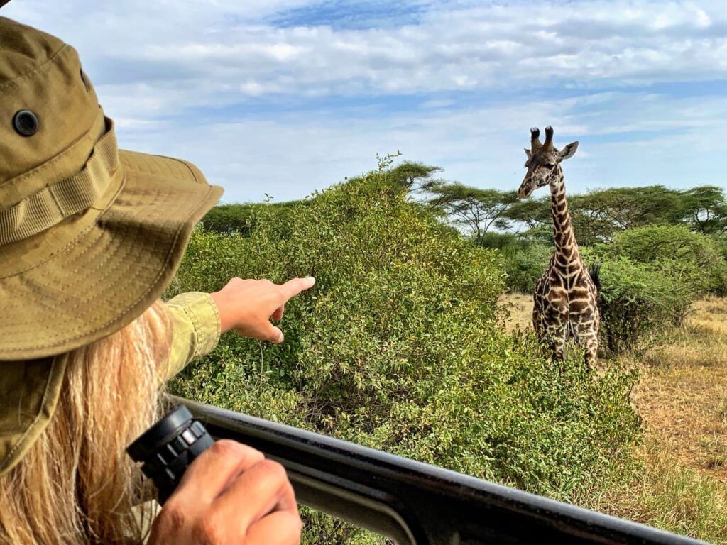 Safari en Tanzania