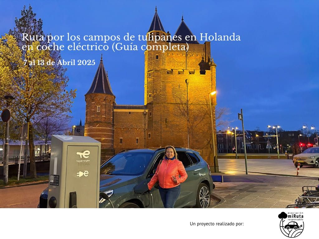 Ruta por los campos de tulipanes de Holanda en coche eléctrico (1)