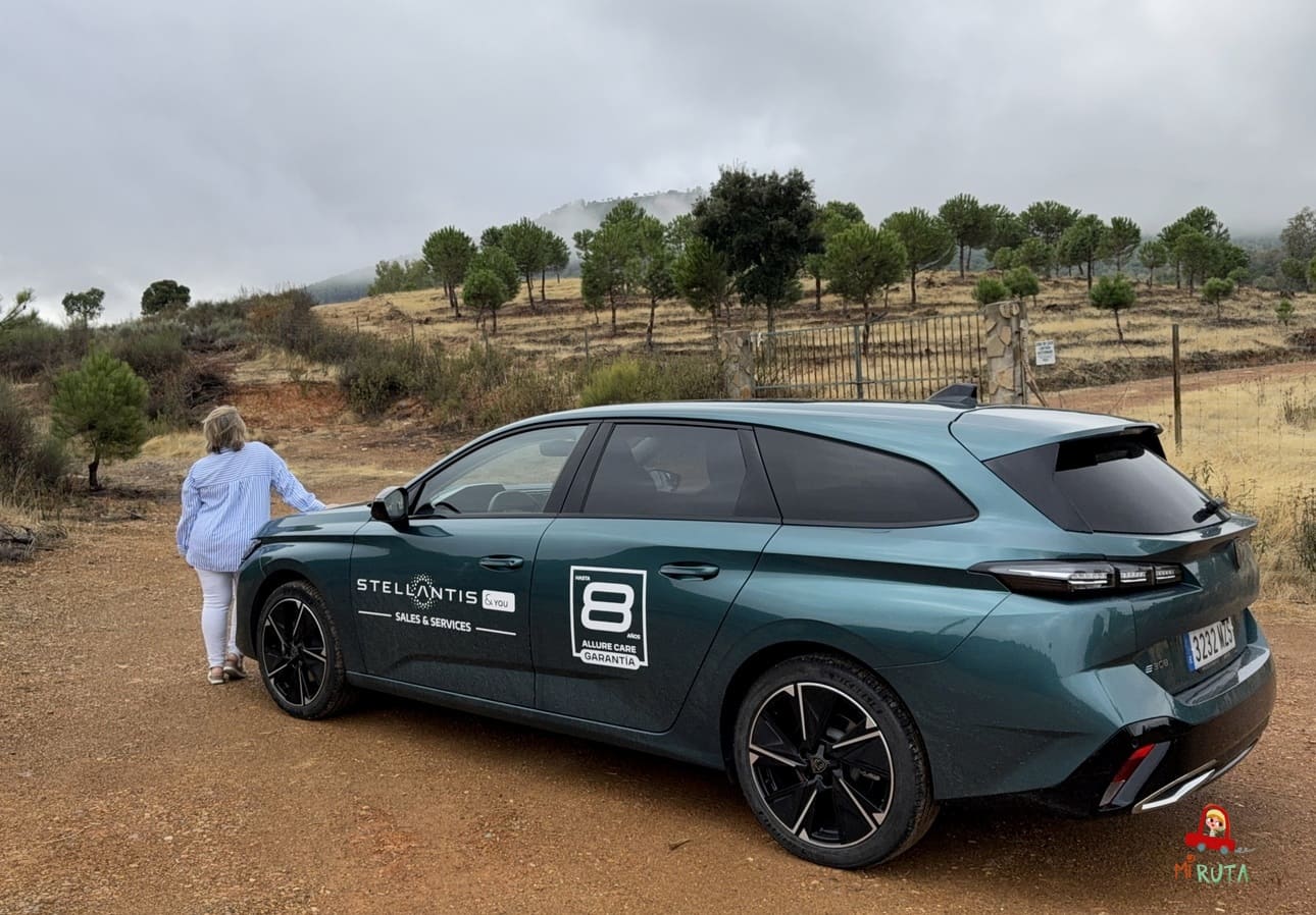 Coche eléctrico Alcantara