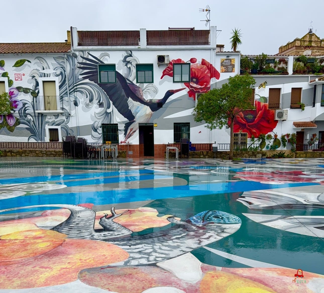 Salorino (4)
