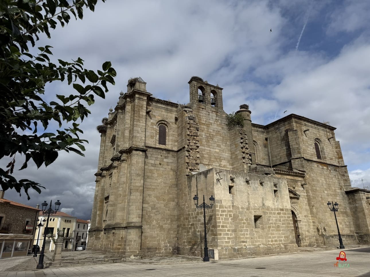 Zarza la mayor
