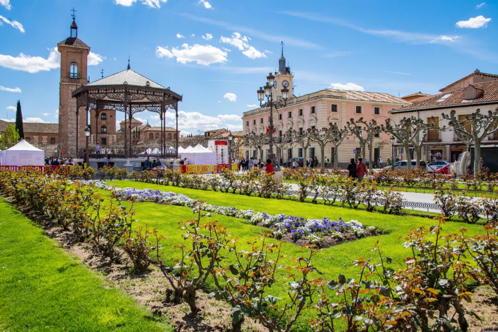 Qué ver en la Comunidad de Madrid_Alcalá de Henares (1)